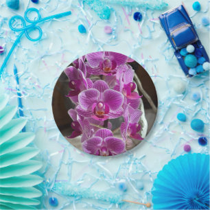 Mini Phalaenopsis Sogo Vivien Purple Orchid Flower Paper Plate