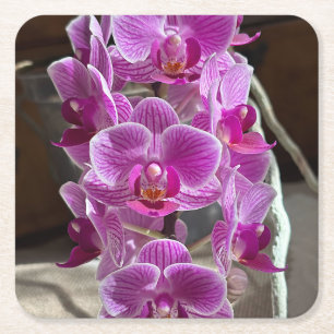 Mini Phalaenopsis Sogo Vivien Purple Orchid Flower Square Paper Coaster