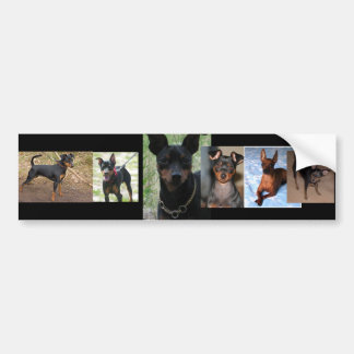 Mini pin bumper sticker