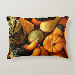 Mini Pumpkins And Gourds Assortment Fall Photo 2 Decorative Cushion