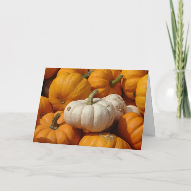 Mini Pumpkins, Thanksgiving Holiday Card (Front)