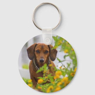 Mini Red Dachshund Round Button Keychain