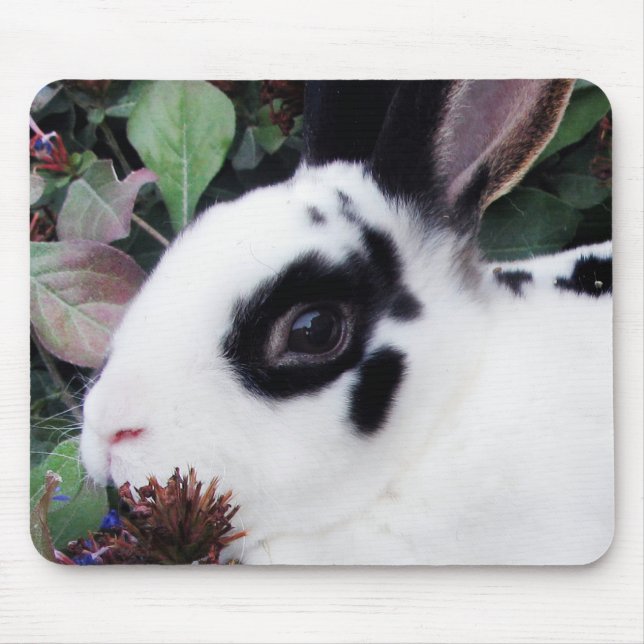 Mini Rex Mousepad (Front)