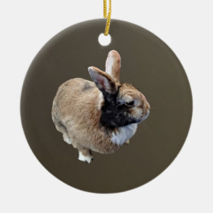 Mini Rex Rabbit Ceramic Tree Decoration