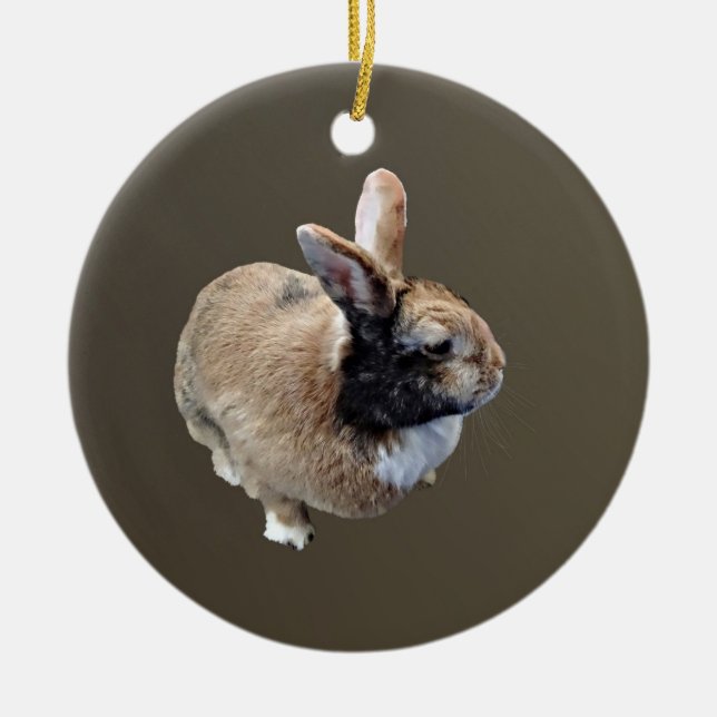 Mini Rex Rabbit Ceramic Tree Decoration (Front)
