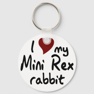 Mini Rex rabbit Key Ring