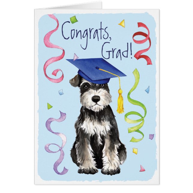 Mini Schnauzer Graduate (Front)