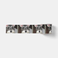 mini schnauzer.png