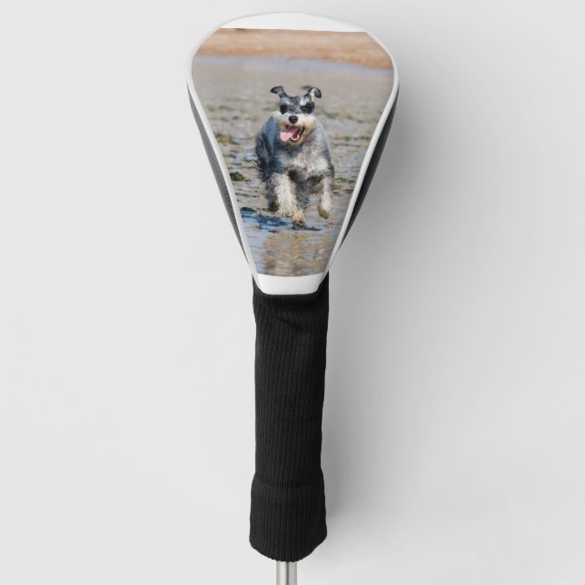 mini schnauzer-running golf head cover (Front)