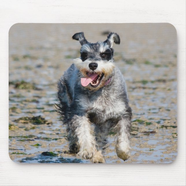 mini schnauzer-running mouse pad (Front)