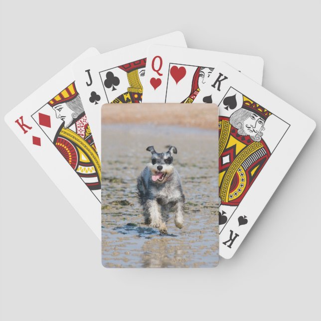 mini schnauzer-running playing cards (Back)