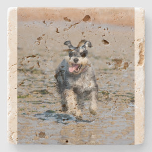 mini schnauzer-running stone coaster