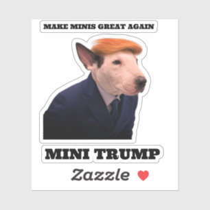 MINI TRUMP