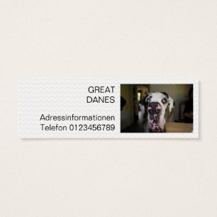 Mini visiting cards