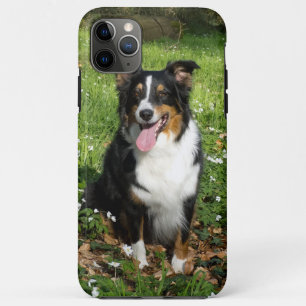 Miniature American Shepherd Black Tri Sitting Case-Mate iPhone Case