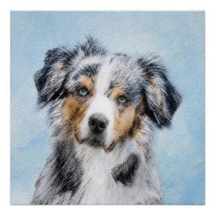 Miniature American Shepherd Painting - Dog Art Poster