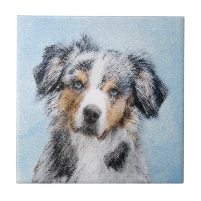 Miniature American Shepherd Painting - Dog Art Tile (Front)