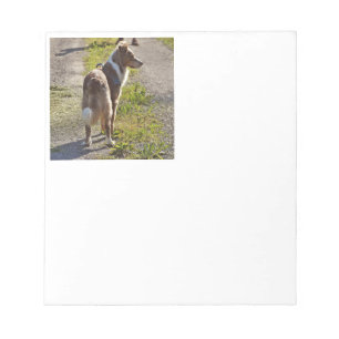 Miniature American Shepherd Red Merle with Tail Notepad