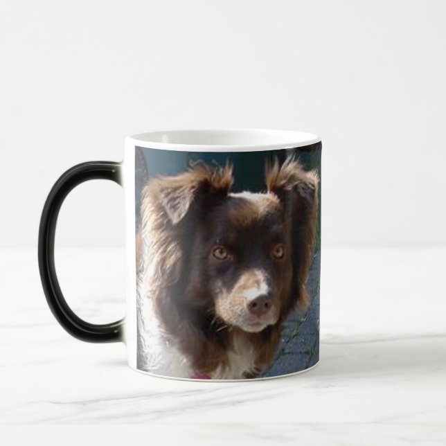 miniature american shepherd red tri magic mug (Left)