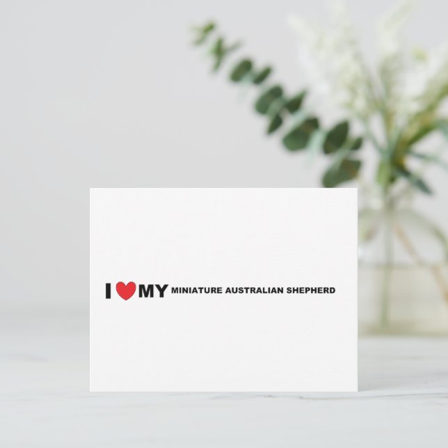 miniature australian shepherd love postcard (Standing Front)