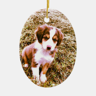 Miniature Australian Shepherd! Mini Aussie Puppy! Ceramic Tree Decoration