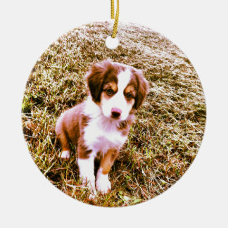 Miniature Australian Shepherd! Mini Aussie Puppy! Ceramic Tree Decoration