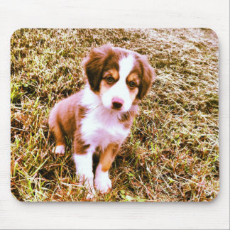 Miniature Australian Shepherd! Mini Aussie Puppy! Mouse Pad