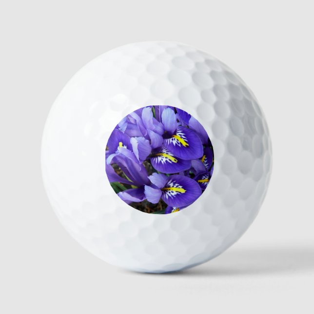 Miniature Blue Irises Spring Floral Golf Balls (Front)
