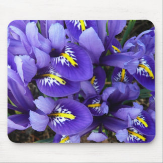 Miniature Blue Irises Spring Floral Mouse Pad