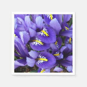 Miniature Blue Irises Spring Floral Napkin