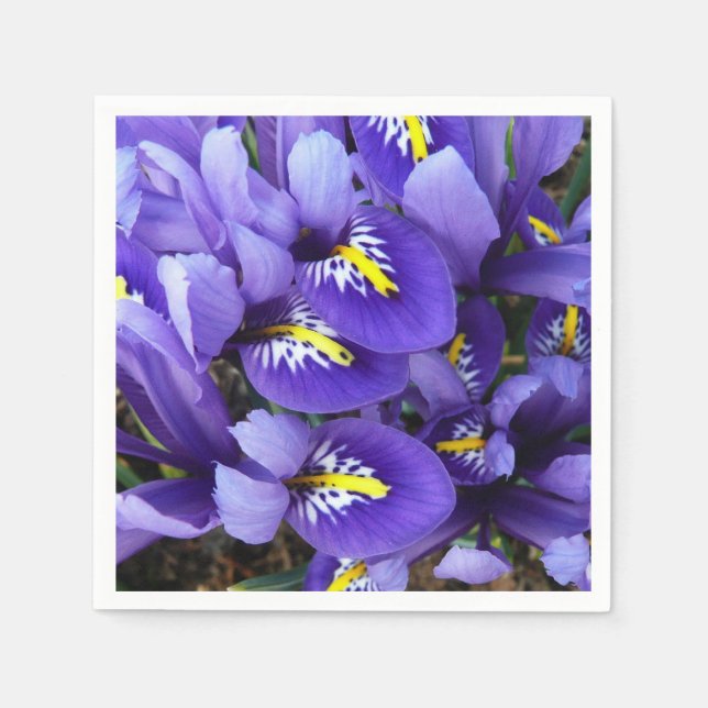 Miniature Blue Irises Spring Floral Napkin (Front)