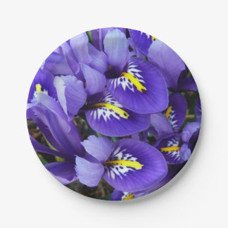 Miniature Blue Irises Spring Floral Paper Plate