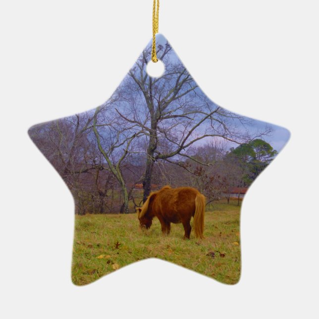 Miniature brown horse blustery sky ceramic tree decoration (Front)