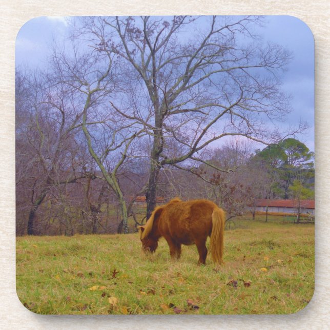 Miniature brown horse blustery sky coaster (Front)