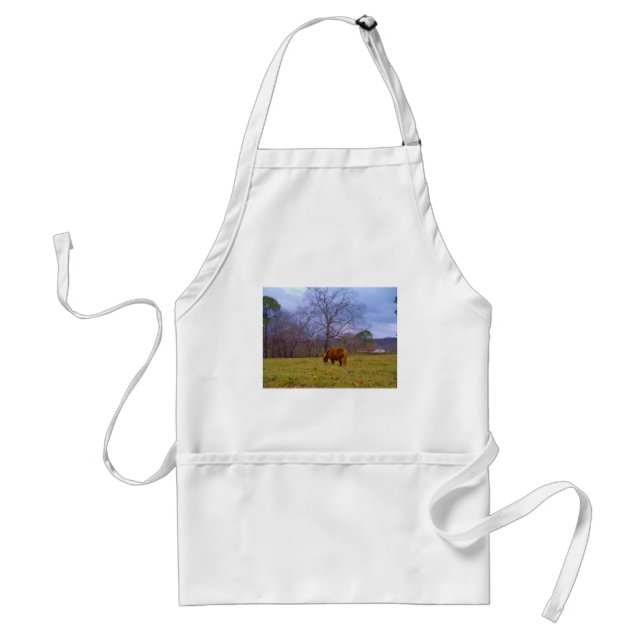 Miniature brown horse blustery sky standard apron (Front)