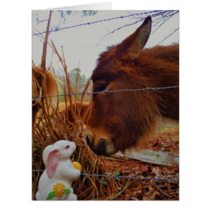 Miniature Brown horse & Easter Bunny