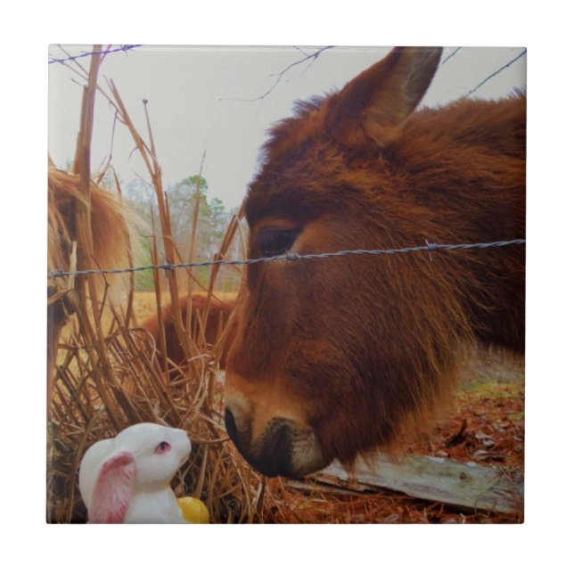 Miniature Brown horse & Easter Bunny Tile (Front)