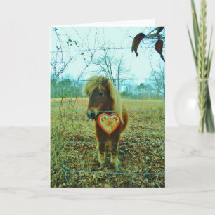 Miniature Brown horse Valentine Heart Holiday Card