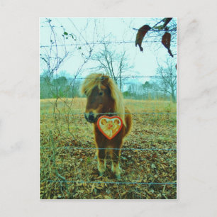 Miniature Brown horse Valentine Heart Holiday Postcard
