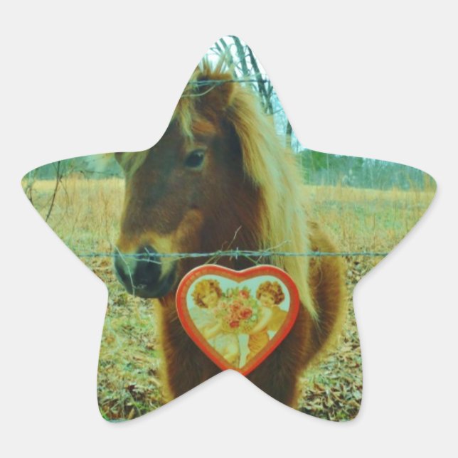 Miniature Brown horse Valentine Heart Star Sticker (Front)