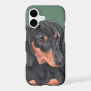 Miniature Dachshund