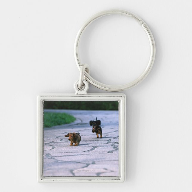Miniature Dachshund 3 Key Ring (Front)