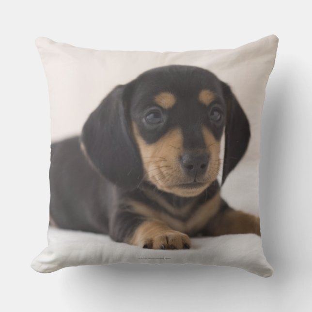 Miniature Dachshund Cushion (Front)