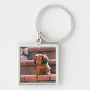 Miniature Dachshund Key Ring