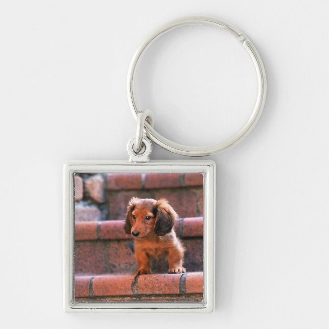 Miniature Dachshund Key Ring (Front)