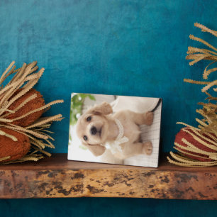 Miniature Dachshund Plaque