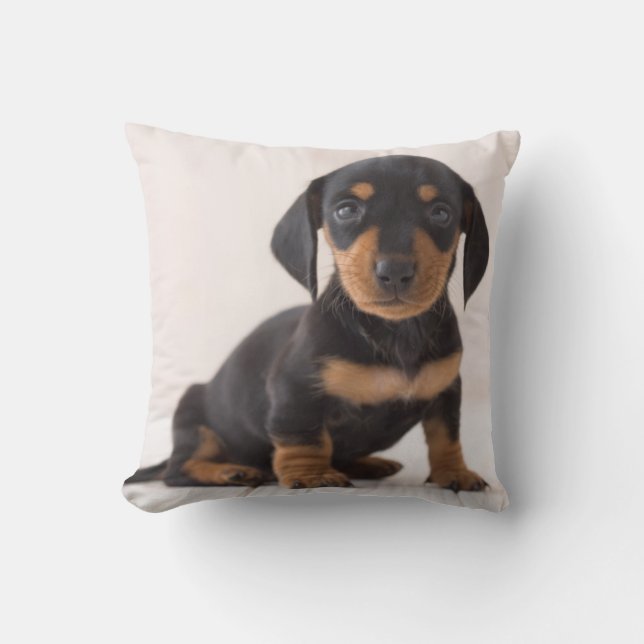 Miniature Dachshund Sitting Cushion (Front)