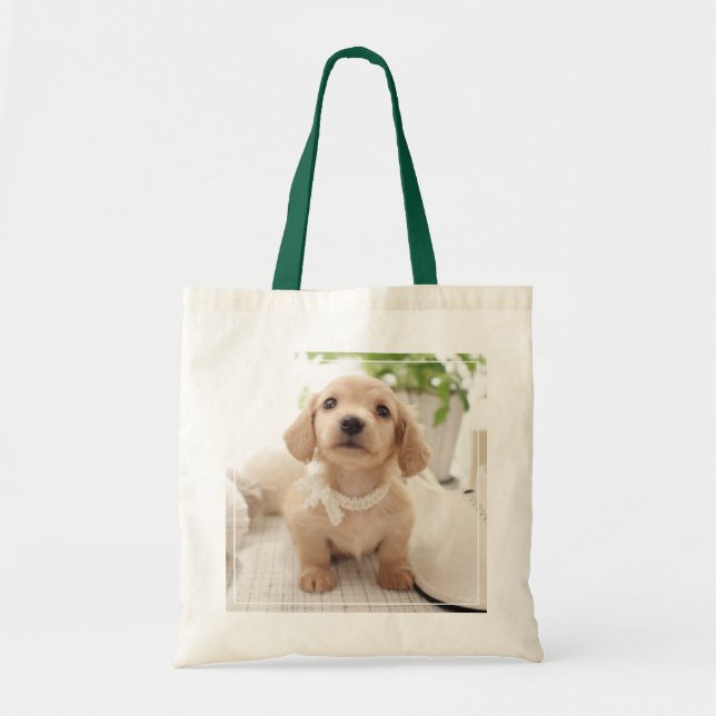 Miniature Dachshund Tote Bag (Front)