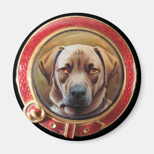MINIATURE DOG PORTRAITS Chocolate Labrador Magnet (Front)