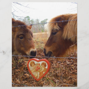 Miniature Donkey & Horse Valentine Heart